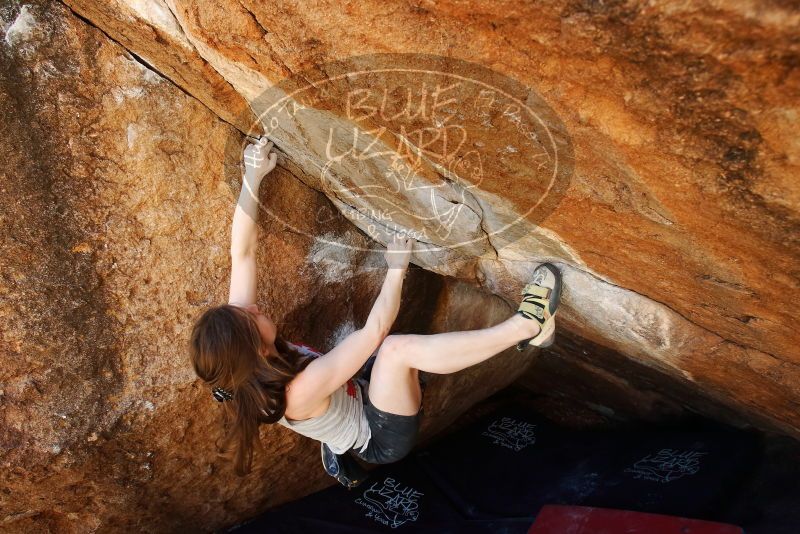 Bouldering in Hueco Tanks on 03/29/2019 with Blue Lizard Climbing and Yoga

Filename: SRM_20190329_1137100.jpg
Aperture: f/5.6
Shutter Speed: 1/200
Body: Canon EOS-1D Mark II
Lens: Canon EF 16-35mm f/2.8 L