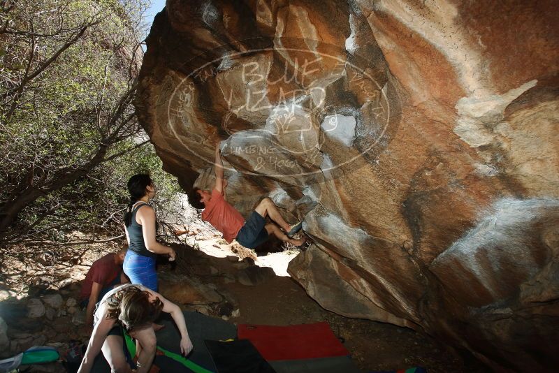 Bouldering in Hueco Tanks on 03/29/2019 with Blue Lizard Climbing and Yoga

Filename: SRM_20190329_1446390.jpg
Aperture: f/5.6
Shutter Speed: 1/250
Body: Canon EOS-1D Mark II
Lens: Canon EF 16-35mm f/2.8 L