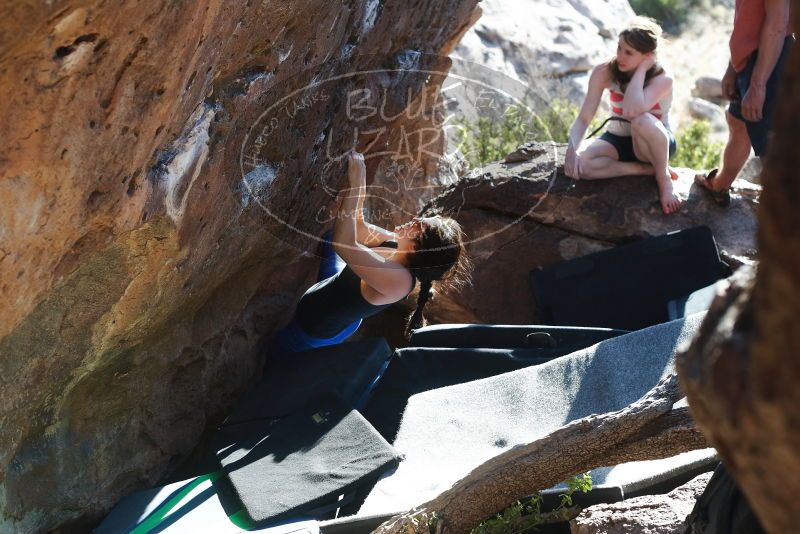 Bouldering in Hueco Tanks on 03/29/2019 with Blue Lizard Climbing and Yoga

Filename: SRM_20190329_1735121.jpg
Aperture: f/4.0
Shutter Speed: 1/250
Body: Canon EOS-1D Mark II
Lens: Canon EF 50mm f/1.8 II