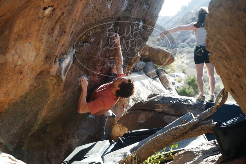 Bouldering in Hueco Tanks on 03/29/2019 with Blue Lizard Climbing and Yoga

Filename: SRM_20190329_1741040.jpg
Aperture: f/4.0
Shutter Speed: 1/250
Body: Canon EOS-1D Mark II
Lens: Canon EF 50mm f/1.8 II