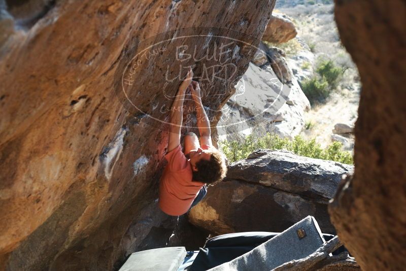 Bouldering in Hueco Tanks on 03/29/2019 with Blue Lizard Climbing and Yoga

Filename: SRM_20190329_1742040.jpg
Aperture: f/4.0
Shutter Speed: 1/250
Body: Canon EOS-1D Mark II
Lens: Canon EF 50mm f/1.8 II