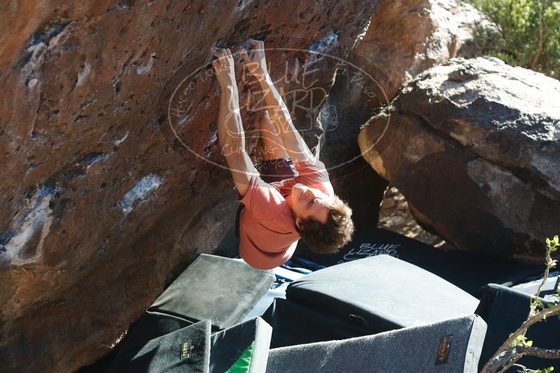 Bouldering in Hueco Tanks on 03/29/2019 with Blue Lizard Climbing and Yoga

Filename: SRM_20190329_1746220.jpg
Aperture: f/4.0
Shutter Speed: 1/250
Body: Canon EOS-1D Mark II
Lens: Canon EF 50mm f/1.8 II