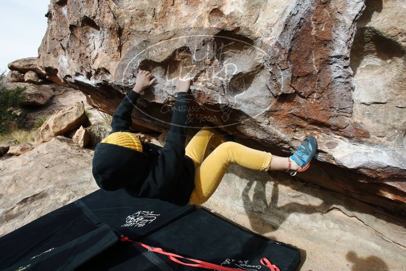 Bouldering in Hueco Tanks on 03/30/2019 with Blue Lizard Climbing and Yoga

Filename: SRM_20190330_0946540.jpg
Aperture: f/5.6
Shutter Speed: 1/320
Body: Canon EOS-1D Mark II
Lens: Canon EF 16-35mm f/2.8 L