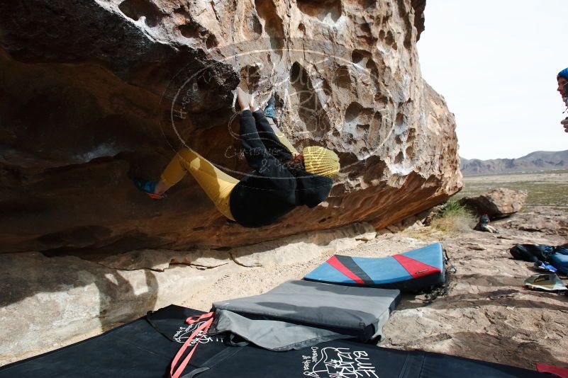 Bouldering in Hueco Tanks on 03/30/2019 with Blue Lizard Climbing and Yoga

Filename: SRM_20190330_1003490.jpg
Aperture: f/5.6
Shutter Speed: 1/320
Body: Canon EOS-1D Mark II
Lens: Canon EF 16-35mm f/2.8 L