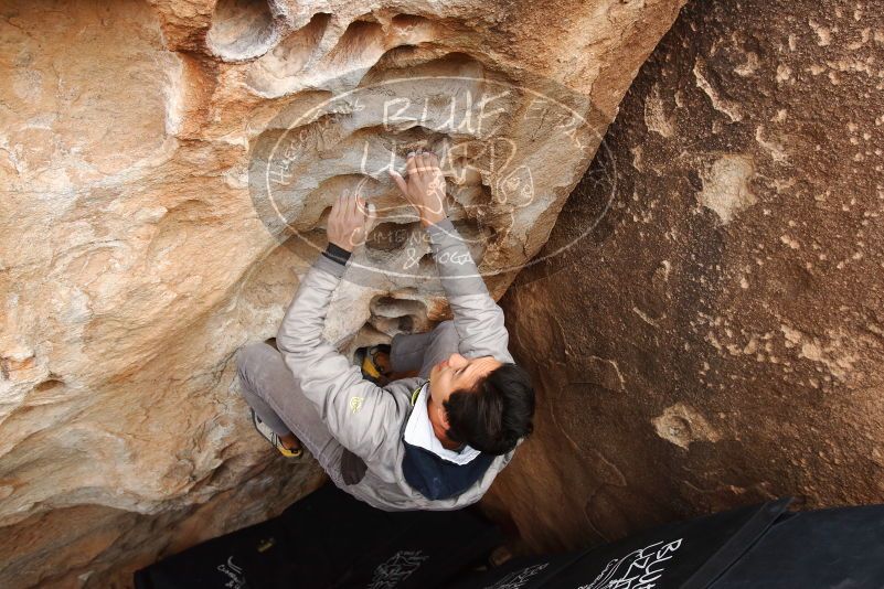 Bouldering in Hueco Tanks on 03/30/2019 with Blue Lizard Climbing and Yoga

Filename: SRM_20190330_1120570.jpg
Aperture: f/5.6
Shutter Speed: 1/320
Body: Canon EOS-1D Mark II
Lens: Canon EF 16-35mm f/2.8 L