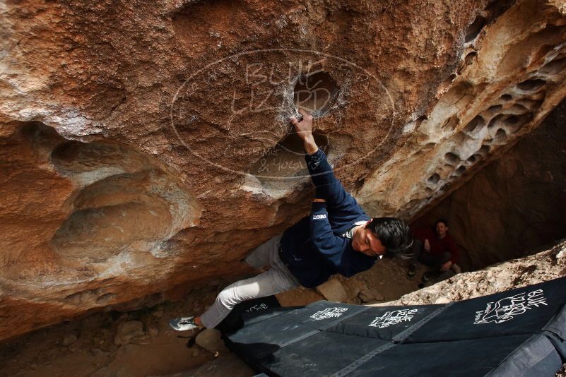 Bouldering in Hueco Tanks on 03/30/2019 with Blue Lizard Climbing and Yoga

Filename: SRM_20190330_1438500.jpg
Aperture: f/5.6
Shutter Speed: 1/250
Body: Canon EOS-1D Mark II
Lens: Canon EF 16-35mm f/2.8 L