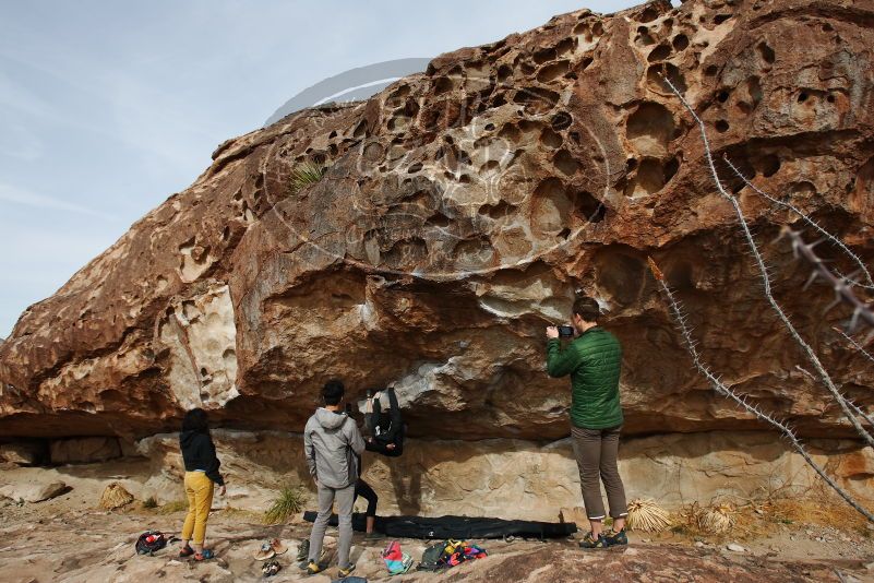 Bouldering in Hueco Tanks on 03/30/2019 with Blue Lizard Climbing and Yoga

Filename: SRM_20190330_1630290.jpg
Aperture: f/5.6
Shutter Speed: 1/640
Body: Canon EOS-1D Mark II
Lens: Canon EF 16-35mm f/2.8 L