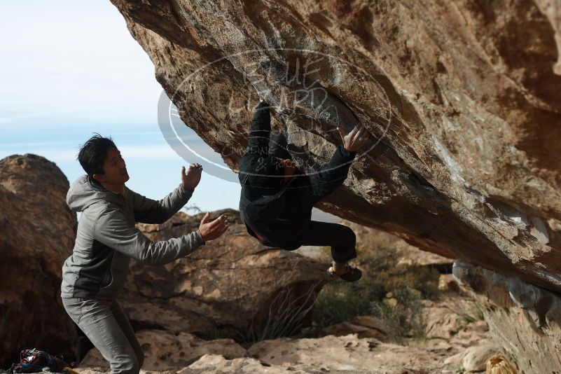 Bouldering in Hueco Tanks on 03/30/2019 with Blue Lizard Climbing and Yoga

Filename: SRM_20190330_1704250.jpg
Aperture: f/4.0
Shutter Speed: 1/500
Body: Canon EOS-1D Mark II
Lens: Canon EF 50mm f/1.8 II