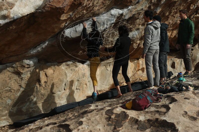 Bouldering in Hueco Tanks on 03/30/2019 with Blue Lizard Climbing and Yoga

Filename: SRM_20190330_1705380.jpg
Aperture: f/4.0
Shutter Speed: 1/800
Body: Canon EOS-1D Mark II
Lens: Canon EF 50mm f/1.8 II