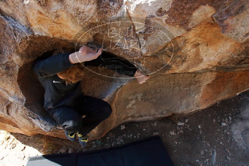 Bouldering in Hueco Tanks on 03/31/2019 with Blue Lizard Climbing and Yoga

Filename: SRM_20190331_1107530.jpg
Aperture: f/5.6
Shutter Speed: 1/250
Body: Canon EOS-1D Mark II
Lens: Canon EF 16-35mm f/2.8 L