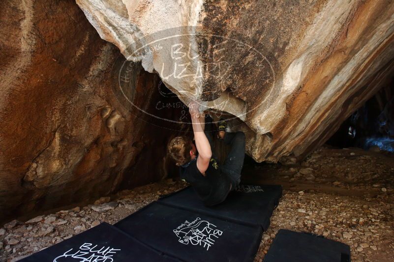 Bouldering in Hueco Tanks on 04/05/2019 with Blue Lizard Climbing and Yoga

Filename: SRM_20190405_1300400.jpg
Aperture: f/4.0
Shutter Speed: 1/160
Body: Canon EOS-1D Mark II
Lens: Canon EF 16-35mm f/2.8 L