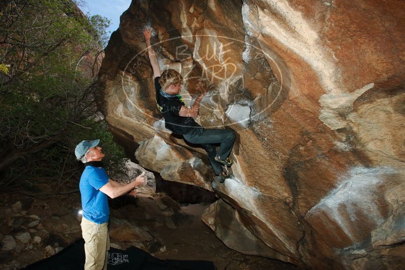 Bouldering in Hueco Tanks on 04/05/2019 with Blue Lizard Climbing and Yoga

Filename: SRM_20190405_1648530.jpg
Aperture: f/5.6
Shutter Speed: 1/250
Body: Canon EOS-1D Mark II
Lens: Canon EF 16-35mm f/2.8 L