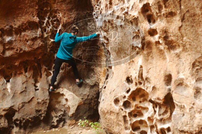 Bouldering in Hueco Tanks on 04/13/2019 with Blue Lizard Climbing and Yoga

Filename: SRM_20190413_1541260.jpg
Aperture: f/3.5
Shutter Speed: 1/100
Body: Canon EOS-1D Mark II
Lens: Canon EF 50mm f/1.8 II