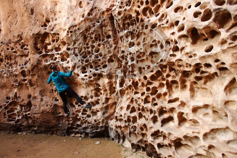 Bouldering in Hueco Tanks on 04/13/2019 with Blue Lizard Climbing and Yoga

Filename: SRM_20190413_1553421.jpg
Aperture: f/4.0
Shutter Speed: 1/100
Body: Canon EOS-1D Mark II
Lens: Canon EF 16-35mm f/2.8 L