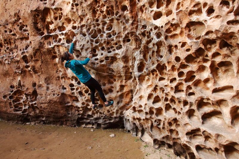 Bouldering in Hueco Tanks on 04/13/2019 with Blue Lizard Climbing and Yoga

Filename: SRM_20190413_1553500.jpg
Aperture: f/4.5
Shutter Speed: 1/100
Body: Canon EOS-1D Mark II
Lens: Canon EF 16-35mm f/2.8 L