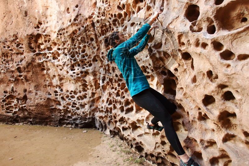 Bouldering in Hueco Tanks on 04/13/2019 with Blue Lizard Climbing and Yoga

Filename: SRM_20190413_1557190.jpg
Aperture: f/5.0
Shutter Speed: 1/60
Body: Canon EOS-1D Mark II
Lens: Canon EF 16-35mm f/2.8 L