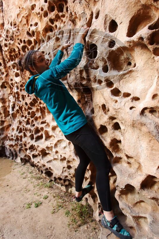 Bouldering in Hueco Tanks on 04/13/2019 with Blue Lizard Climbing and Yoga

Filename: SRM_20190413_1557270.jpg
Aperture: f/5.0
Shutter Speed: 1/60
Body: Canon EOS-1D Mark II
Lens: Canon EF 16-35mm f/2.8 L