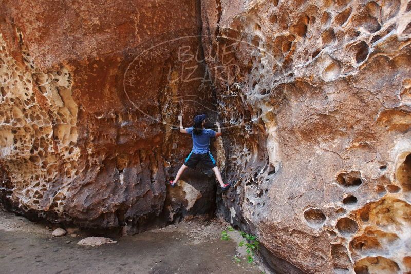 Bouldering in Hueco Tanks on 04/26/2019 with Blue Lizard Climbing and Yoga

Filename: SRM_20190426_1217160.jpg
Aperture: f/4.0
Shutter Speed: 1/125
Body: Canon EOS-1D Mark II
Lens: Canon EF 16-35mm f/2.8 L