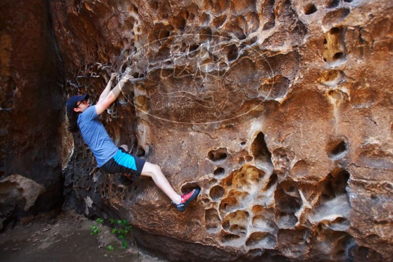 Bouldering in Hueco Tanks on 04/26/2019 with Blue Lizard Climbing and Yoga

Filename: SRM_20190426_1218060.jpg
Aperture: f/4.0
Shutter Speed: 1/200
Body: Canon EOS-1D Mark II
Lens: Canon EF 16-35mm f/2.8 L