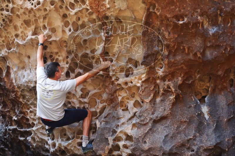 Bouldering in Hueco Tanks on 04/26/2019 with Blue Lizard Climbing and Yoga

Filename: SRM_20190426_1223160.jpg
Aperture: f/3.2
Shutter Speed: 1/200
Body: Canon EOS-1D Mark II
Lens: Canon EF 50mm f/1.8 II