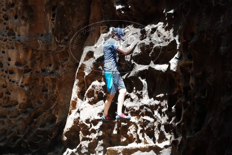 Bouldering in Hueco Tanks on 04/26/2019 with Blue Lizard Climbing and Yoga

Filename: SRM_20190426_1230590.jpg
Aperture: f/4.0
Shutter Speed: 1/500
Body: Canon EOS-1D Mark II
Lens: Canon EF 50mm f/1.8 II