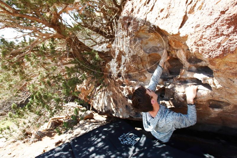 Bouldering in Hueco Tanks on 06/15/2019 with Blue Lizard Climbing and Yoga

Filename: SRM_20190615_0951310.jpg
Aperture: f/5.0
Shutter Speed: 1/320
Body: Canon EOS-1D Mark II
Lens: Canon EF 16-35mm f/2.8 L