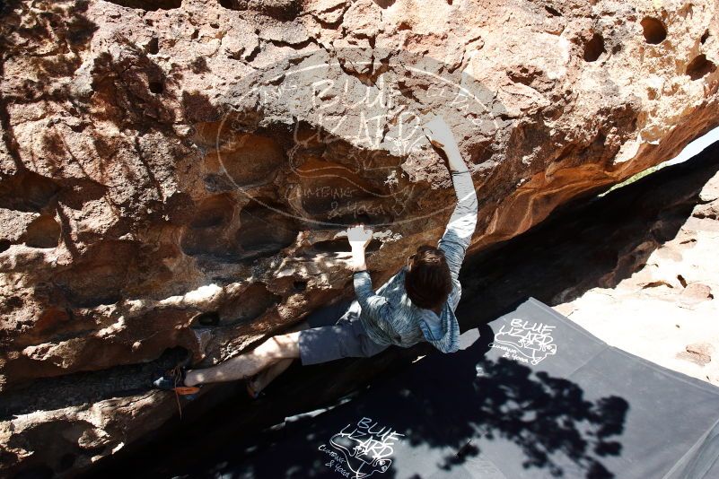 Bouldering in Hueco Tanks on 06/15/2019 with Blue Lizard Climbing and Yoga

Filename: SRM_20190615_0959170.jpg
Aperture: f/5.0
Shutter Speed: 1/640
Body: Canon EOS-1D Mark II
Lens: Canon EF 16-35mm f/2.8 L