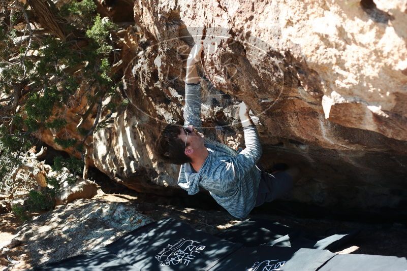 Bouldering in Hueco Tanks on 06/15/2019 with Blue Lizard Climbing and Yoga

Filename: SRM_20190615_1009320.jpg
Aperture: f/3.2
Shutter Speed: 1/400
Body: Canon EOS-1D Mark II
Lens: Canon EF 50mm f/1.8 II