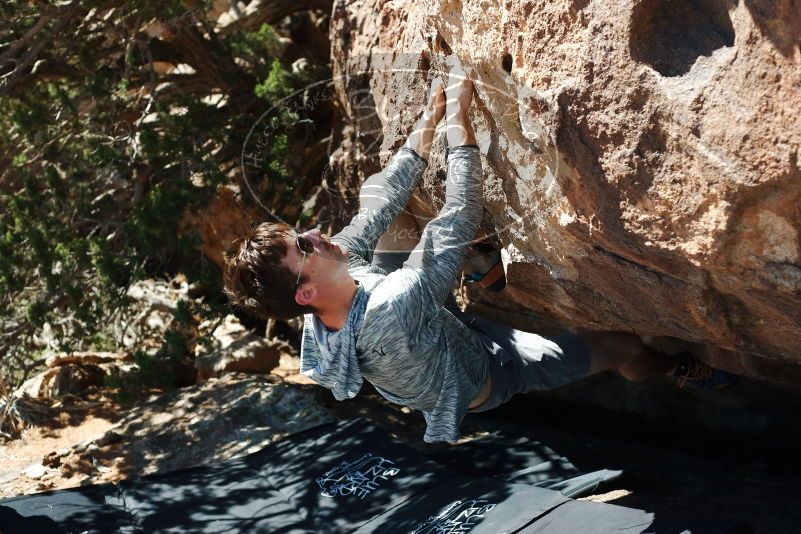 Bouldering in Hueco Tanks on 06/15/2019 with Blue Lizard Climbing and Yoga

Filename: SRM_20190615_1009520.jpg
Aperture: f/3.5
Shutter Speed: 1/640
Body: Canon EOS-1D Mark II
Lens: Canon EF 50mm f/1.8 II