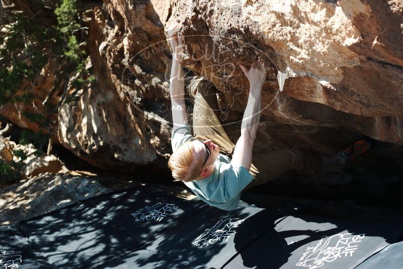 Bouldering in Hueco Tanks on 06/15/2019 with Blue Lizard Climbing and Yoga

Filename: SRM_20190615_1016370.jpg
Aperture: f/3.5
Shutter Speed: 1/640
Body: Canon EOS-1D Mark II
Lens: Canon EF 50mm f/1.8 II