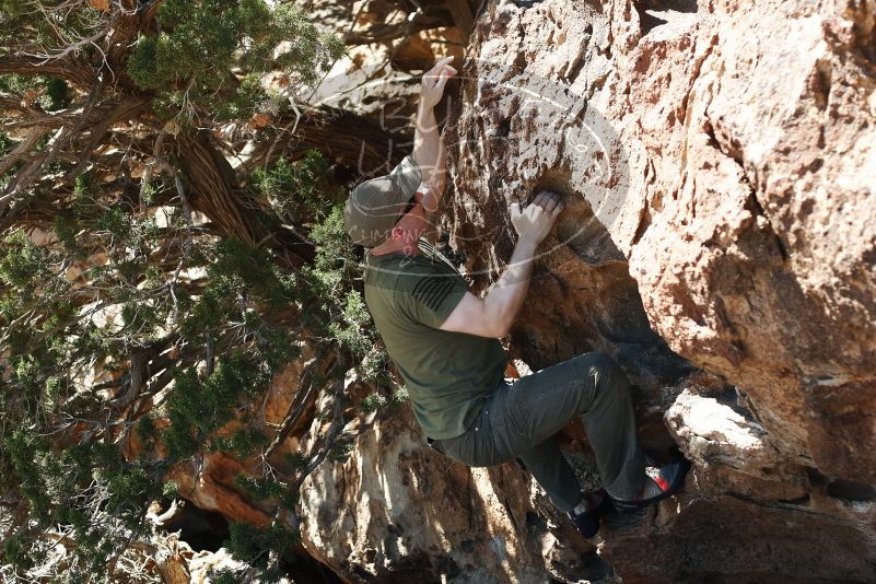 Bouldering in Hueco Tanks on 06/15/2019 with Blue Lizard Climbing and Yoga

Filename: SRM_20190615_1020370.jpg
Aperture: f/3.5
Shutter Speed: 1/500
Body: Canon EOS-1D Mark II
Lens: Canon EF 50mm f/1.8 II