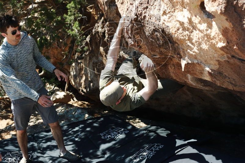 Bouldering in Hueco Tanks on 06/15/2019 with Blue Lizard Climbing and Yoga

Filename: SRM_20190615_1024020.jpg
Aperture: f/4.0
Shutter Speed: 1/500
Body: Canon EOS-1D Mark II
Lens: Canon EF 50mm f/1.8 II