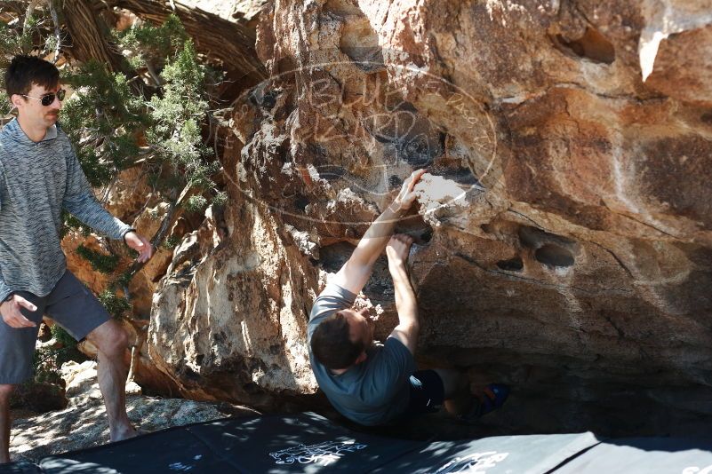 Bouldering in Hueco Tanks on 06/15/2019 with Blue Lizard Climbing and Yoga

Filename: SRM_20190615_1029390.jpg
Aperture: f/4.0
Shutter Speed: 1/320
Body: Canon EOS-1D Mark II
Lens: Canon EF 50mm f/1.8 II