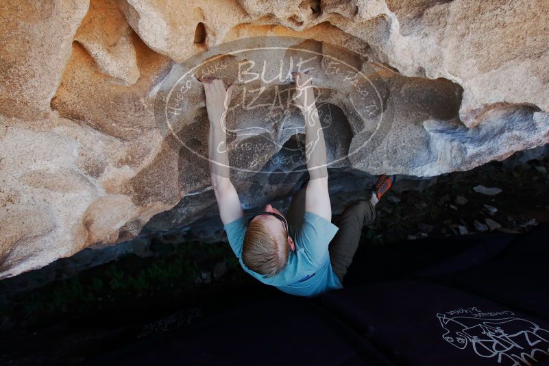 Bouldering in Hueco Tanks on 06/15/2019 with Blue Lizard Climbing and Yoga

Filename: SRM_20190615_1103060.jpg
Aperture: f/5.6
Shutter Speed: 1/200
Body: Canon EOS-1D Mark II
Lens: Canon EF 16-35mm f/2.8 L