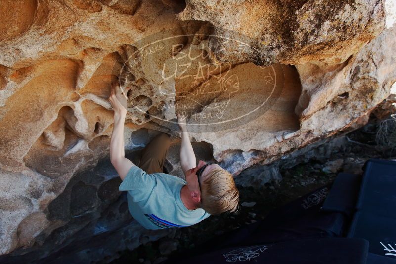 Bouldering in Hueco Tanks on 06/15/2019 with Blue Lizard Climbing and Yoga

Filename: SRM_20190615_1103110.jpg
Aperture: f/5.6
Shutter Speed: 1/320
Body: Canon EOS-1D Mark II
Lens: Canon EF 16-35mm f/2.8 L