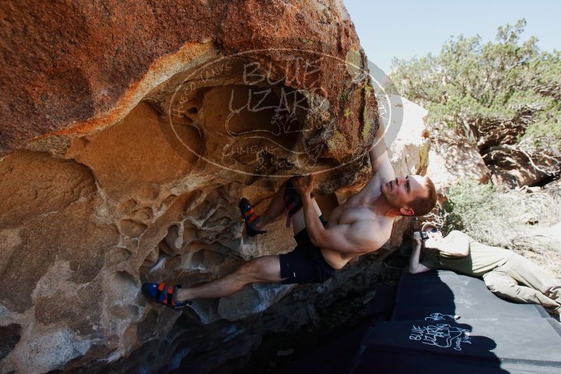 Bouldering in Hueco Tanks on 06/15/2019 with Blue Lizard Climbing and Yoga

Filename: SRM_20190615_1109590.jpg
Aperture: f/5.6
Shutter Speed: 1/640
Body: Canon EOS-1D Mark II
Lens: Canon EF 16-35mm f/2.8 L