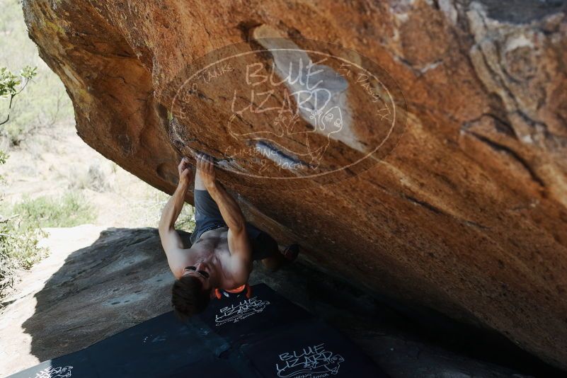 Bouldering in Hueco Tanks on 06/15/2019 with Blue Lizard Climbing and Yoga

Filename: SRM_20190615_1417240.jpg
Aperture: f/4.0
Shutter Speed: 1/250
Body: Canon EOS-1D Mark II
Lens: Canon EF 50mm f/1.8 II