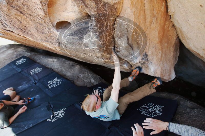 Bouldering in Hueco Tanks on 06/15/2019 with Blue Lizard Climbing and Yoga

Filename: SRM_20190615_1454180.jpg
Aperture: f/4.0
Shutter Speed: 1/250
Body: Canon EOS-1D Mark II
Lens: Canon EF 16-35mm f/2.8 L