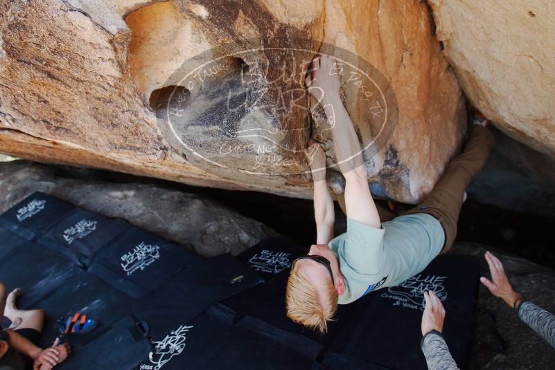 Bouldering in Hueco Tanks on 06/15/2019 with Blue Lizard Climbing and Yoga

Filename: SRM_20190615_1456200.jpg
Aperture: f/4.0
Shutter Speed: 1/320
Body: Canon EOS-1D Mark II
Lens: Canon EF 16-35mm f/2.8 L