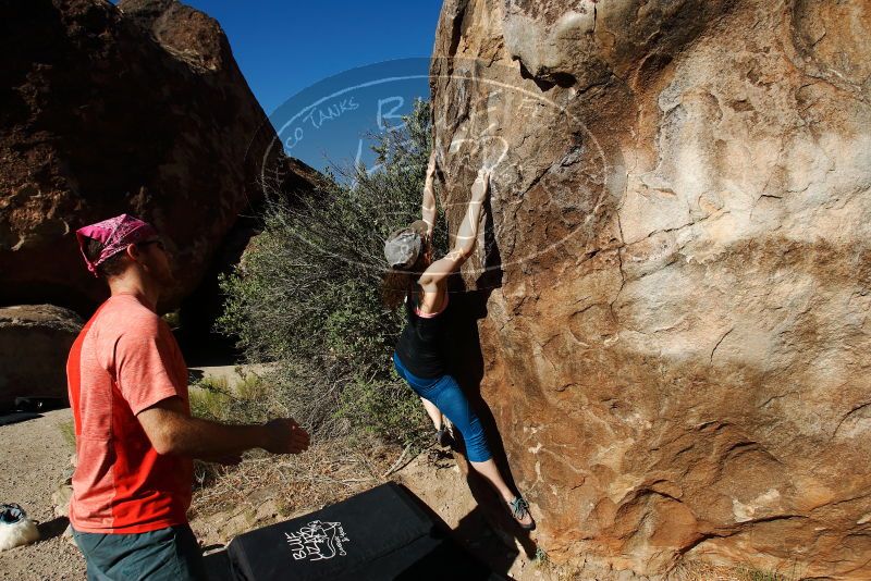 Bouldering in Hueco Tanks on 06/23/2019 with Blue Lizard Climbing and Yoga

Filename: SRM_20190623_0834310.jpg
Aperture: f/5.6
Shutter Speed: 1/640
Body: Canon EOS-1D Mark II
Lens: Canon EF 16-35mm f/2.8 L