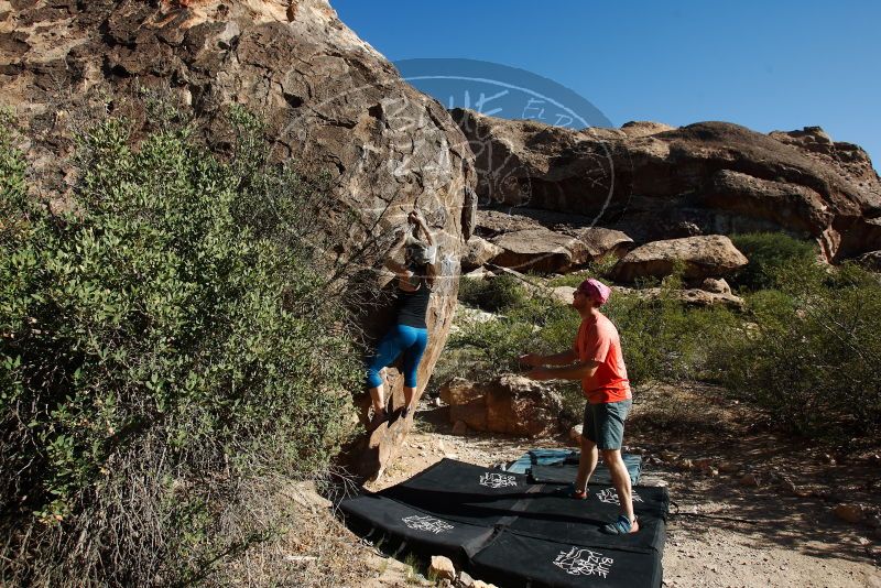 Bouldering in Hueco Tanks on 06/23/2019 with Blue Lizard Climbing and Yoga

Filename: SRM_20190623_0840210.jpg
Aperture: f/5.6
Shutter Speed: 1/400
Body: Canon EOS-1D Mark II
Lens: Canon EF 16-35mm f/2.8 L