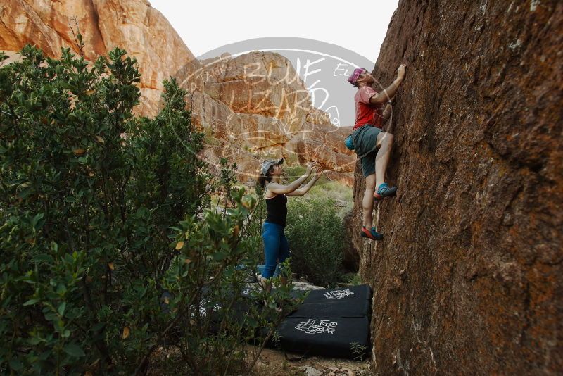 Bouldering in Hueco Tanks on 06/23/2019 with Blue Lizard Climbing and Yoga

Filename: SRM_20190623_0853230.jpg
Aperture: f/5.6
Shutter Speed: 1/160
Body: Canon EOS-1D Mark II
Lens: Canon EF 16-35mm f/2.8 L