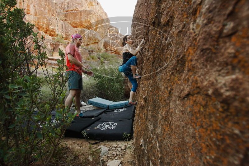 Bouldering in Hueco Tanks on 06/23/2019 with Blue Lizard Climbing and Yoga

Filename: SRM_20190623_0859190.jpg
Aperture: f/5.6
Shutter Speed: 1/125
Body: Canon EOS-1D Mark II
Lens: Canon EF 16-35mm f/2.8 L