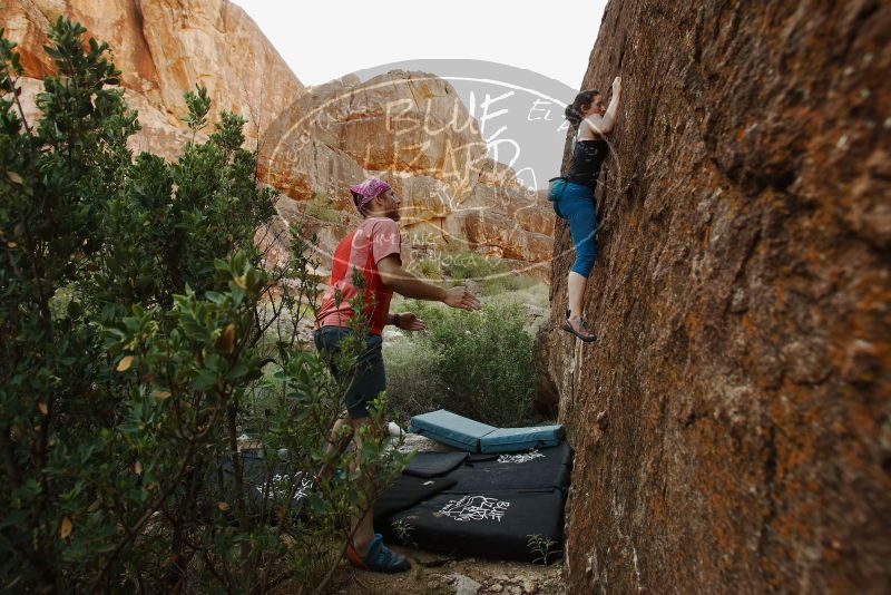 Bouldering in Hueco Tanks on 06/23/2019 with Blue Lizard Climbing and Yoga

Filename: SRM_20190623_0859430.jpg
Aperture: f/5.6
Shutter Speed: 1/160
Body: Canon EOS-1D Mark II
Lens: Canon EF 16-35mm f/2.8 L