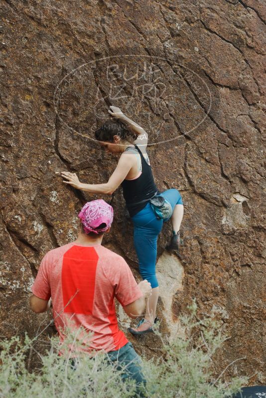 Bouldering in Hueco Tanks on 06/23/2019 with Blue Lizard Climbing and Yoga

Filename: SRM_20190623_0906100.jpg
Aperture: f/5.6
Shutter Speed: 1/125
Body: Canon EOS-1D Mark II
Lens: Canon EF 50mm f/1.8 II