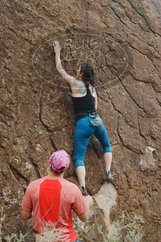 Bouldering in Hueco Tanks on 06/23/2019 with Blue Lizard Climbing and Yoga

Filename: SRM_20190623_0906160.jpg
Aperture: f/5.6
Shutter Speed: 1/100
Body: Canon EOS-1D Mark II
Lens: Canon EF 50mm f/1.8 II