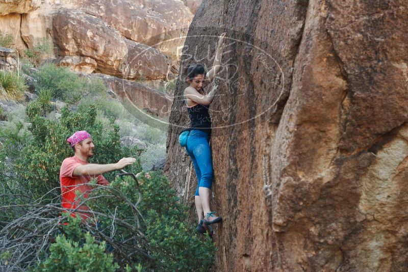 Bouldering in Hueco Tanks on 06/23/2019 with Blue Lizard Climbing and Yoga

Filename: SRM_20190623_0916370.jpg
Aperture: f/5.6
Shutter Speed: 1/160
Body: Canon EOS-1D Mark II
Lens: Canon EF 50mm f/1.8 II