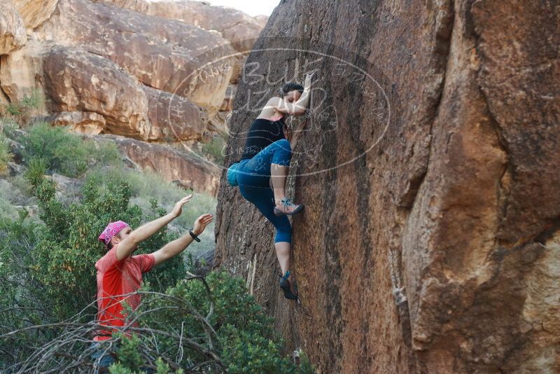 Bouldering in Hueco Tanks on 06/23/2019 with Blue Lizard Climbing and Yoga

Filename: SRM_20190623_0917330.jpg
Aperture: f/4.0
Shutter Speed: 1/320
Body: Canon EOS-1D Mark II
Lens: Canon EF 50mm f/1.8 II