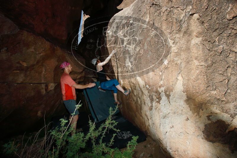 Bouldering in Hueco Tanks on 06/23/2019 with Blue Lizard Climbing and Yoga

Filename: SRM_20190623_1005340.jpg
Aperture: f/8.0
Shutter Speed: 1/250
Body: Canon EOS-1D Mark II
Lens: Canon EF 16-35mm f/2.8 L