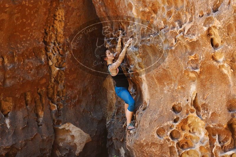 Bouldering in Hueco Tanks on 06/23/2019 with Blue Lizard Climbing and Yoga

Filename: SRM_20190623_1300020.jpg
Aperture: f/4.0
Shutter Speed: 1/100
Body: Canon EOS-1D Mark II
Lens: Canon EF 50mm f/1.8 II